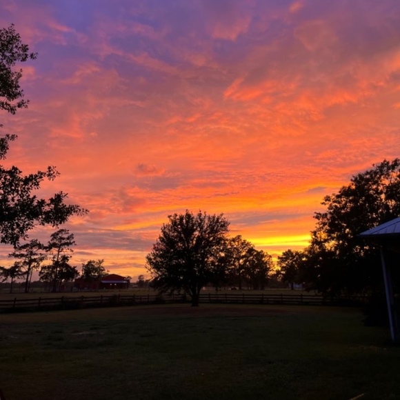 Meet your Posher, Lya - Picture 1 of 1